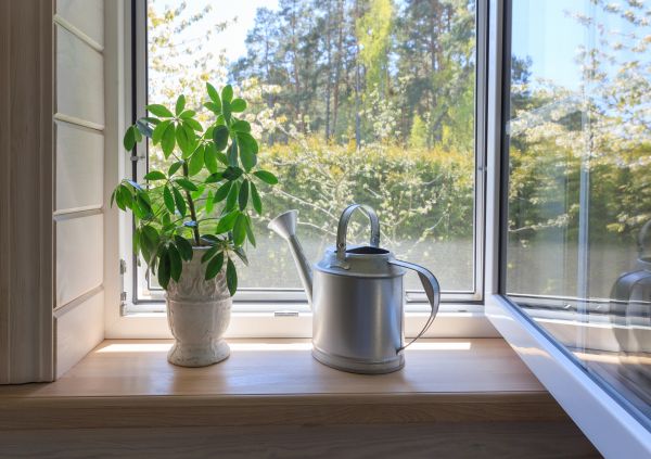 Garden Window Repair in Plainfield
